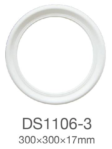 DS1106-3