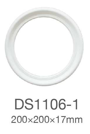 DS1106-1