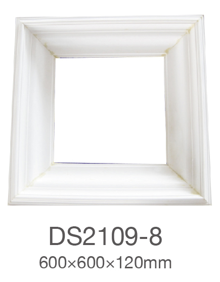 DS2109-8