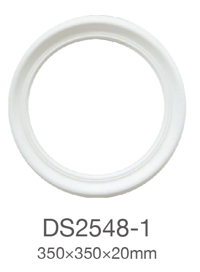 DS2548-1